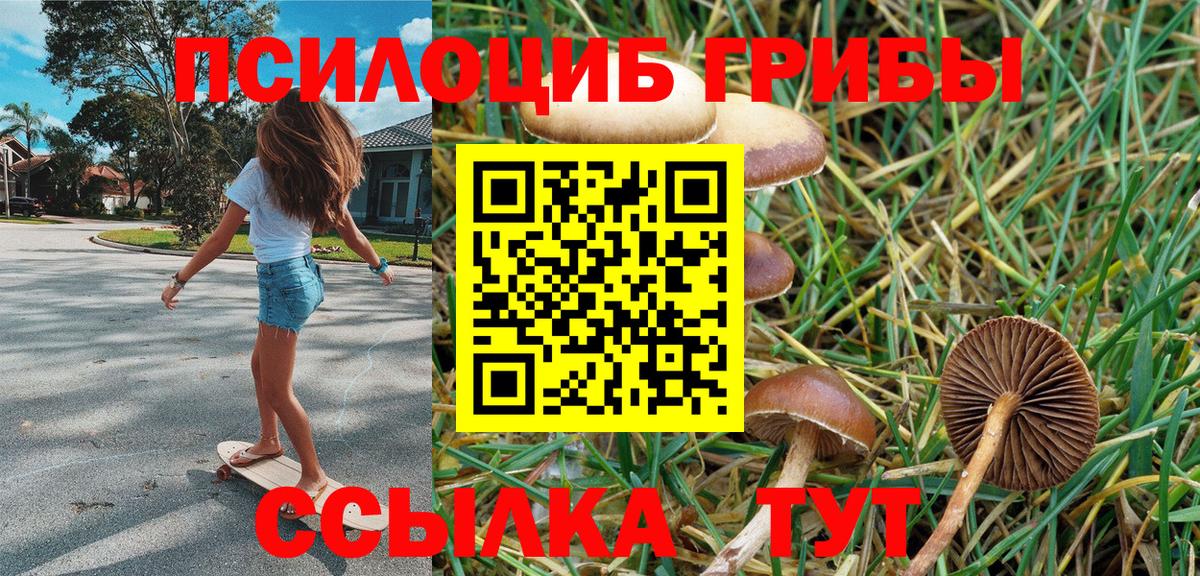 Галлюциногенные грибы Psilocybe  Вход с VPN  Электрогорск 
